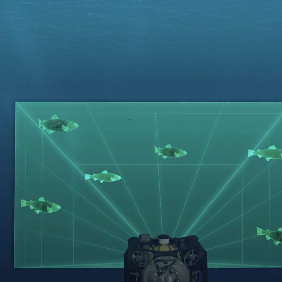 Boxfish Robotics Empowers Computer Scientists with Boxfish AUV Research Kit